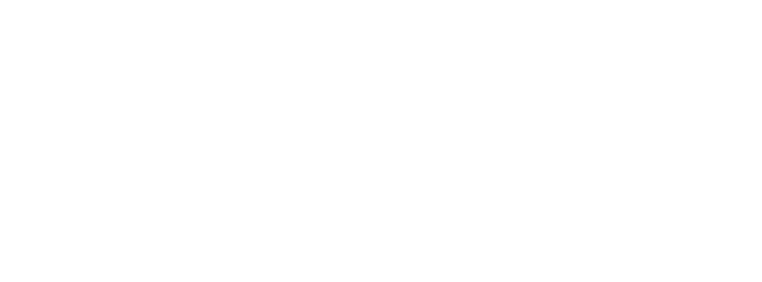 Logo SafePoint bile